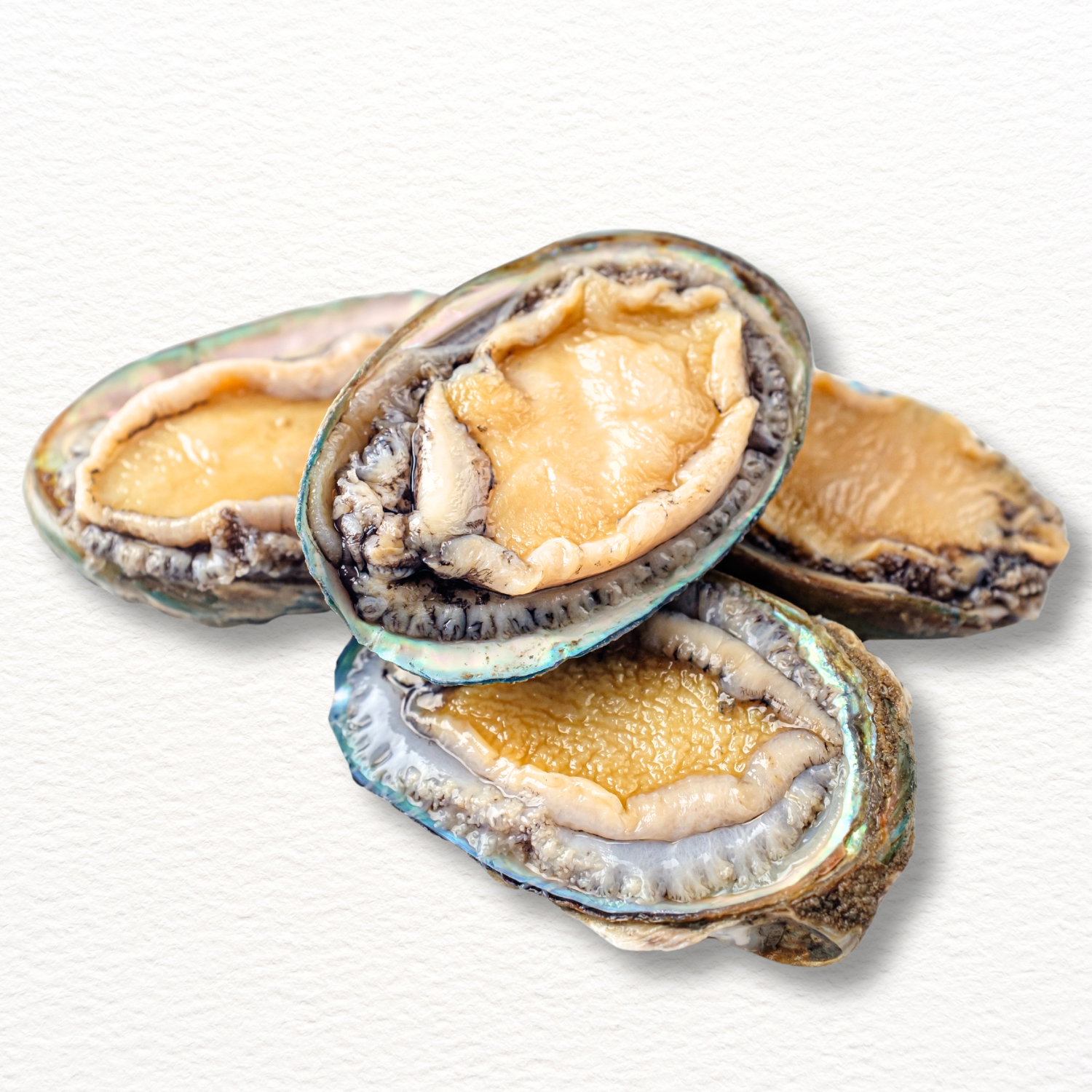 Fresh Wild-Caught Abalone – Australian Premium (Live-Grade)