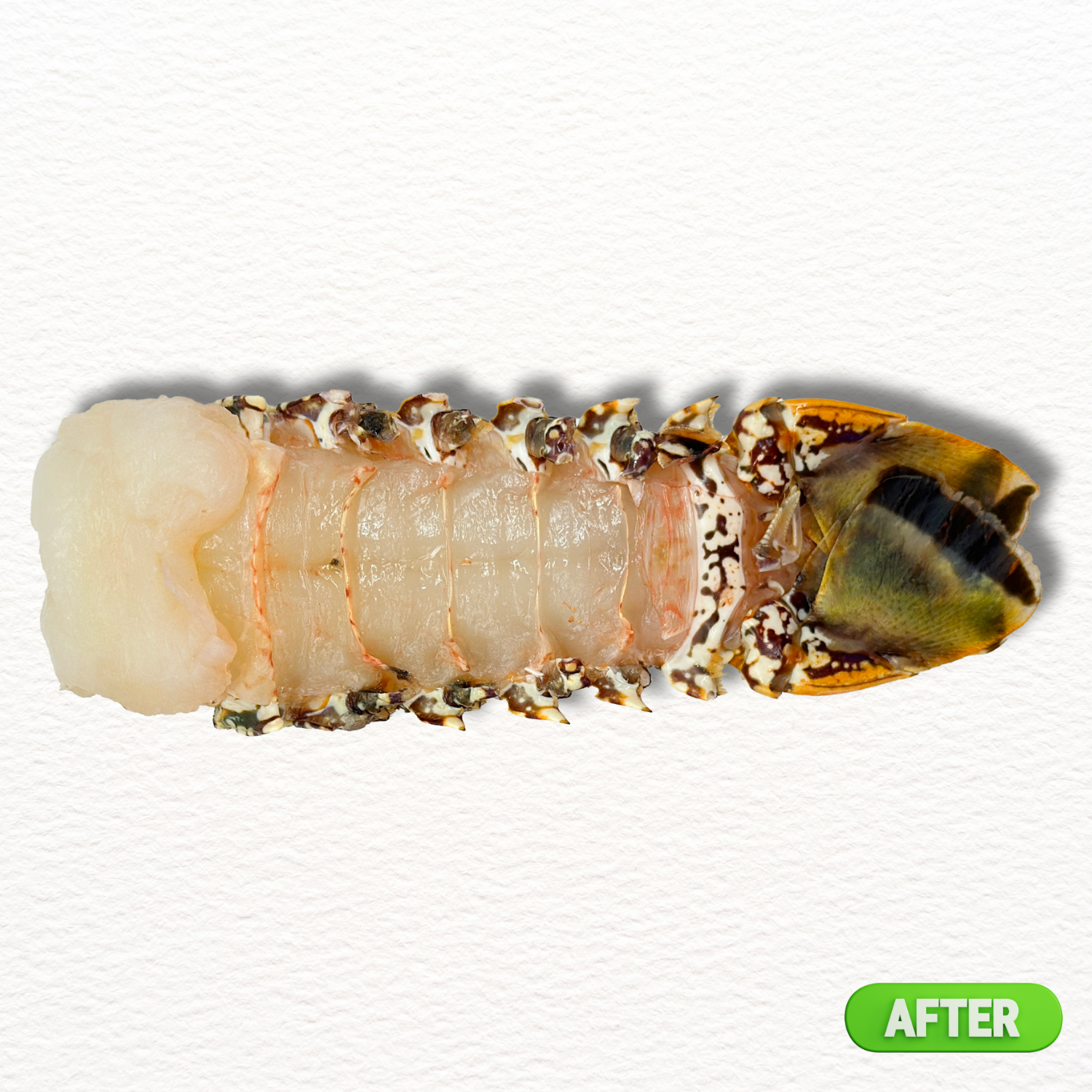 Lobster Tail – Wild-Caught Australian Premium (Fresh)