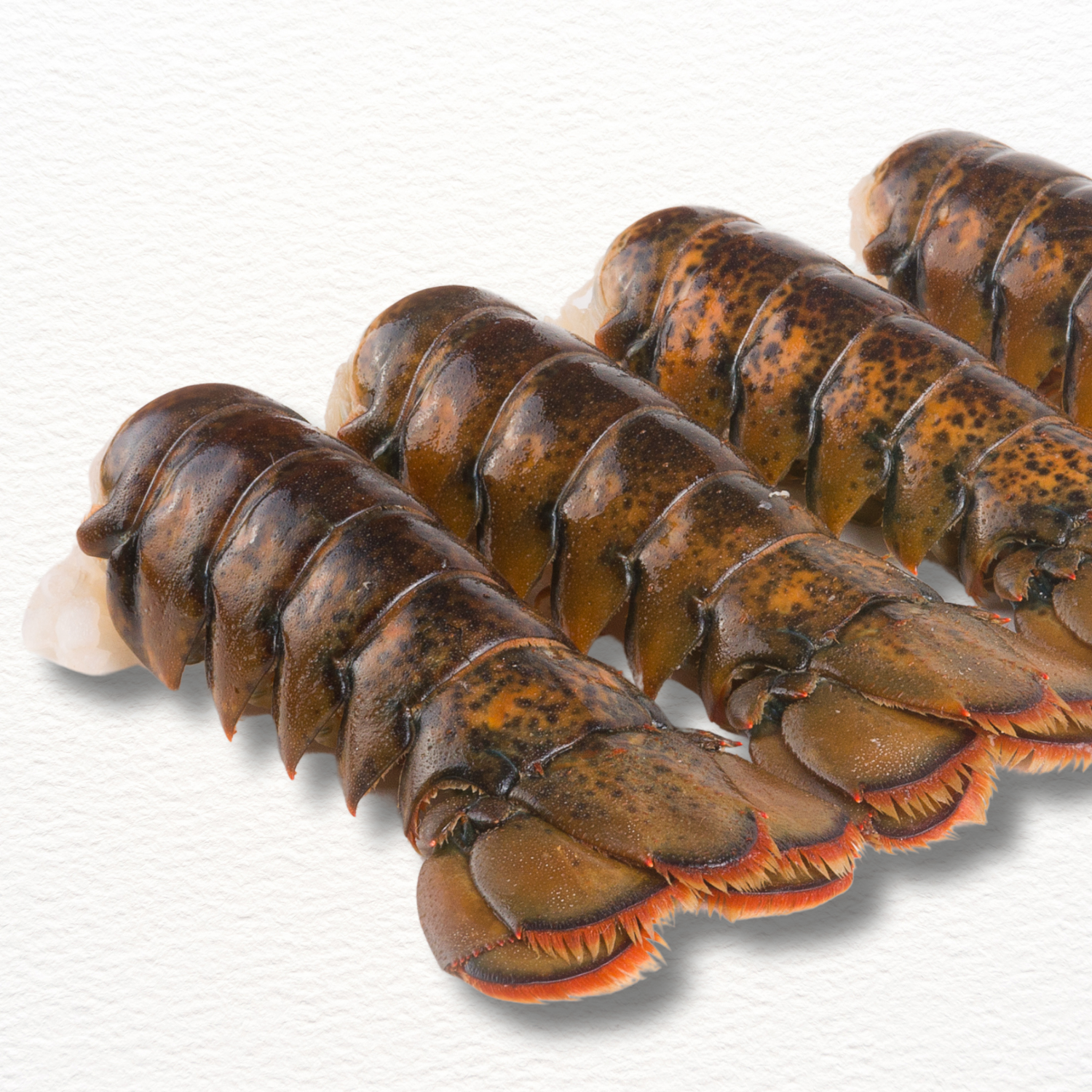 Lobster Tail – Wild-Caught Australian Premium (Fresh)