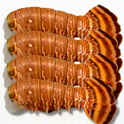 Lobster Tail – Wild-Caught Australian Premium (Fresh)