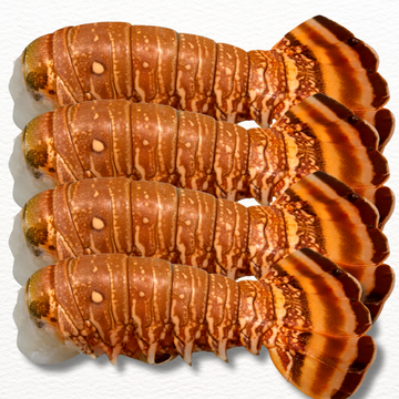 Lobster Tail – Wild-Caught Australian Premium (Fresh)