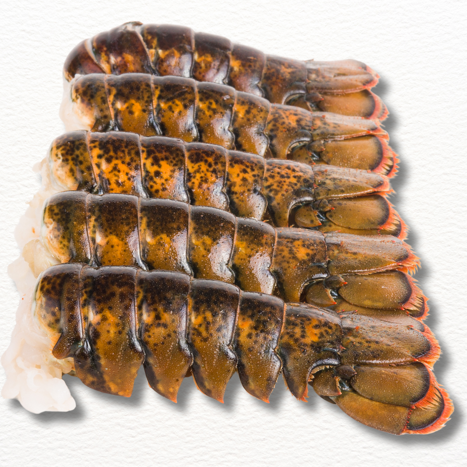 Lobster Tail – Wild-Caught Australian Premium (Fresh)