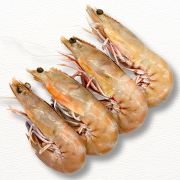 Tiger King Prawns – Extra Large U6 Size, Fresh (4pcs)