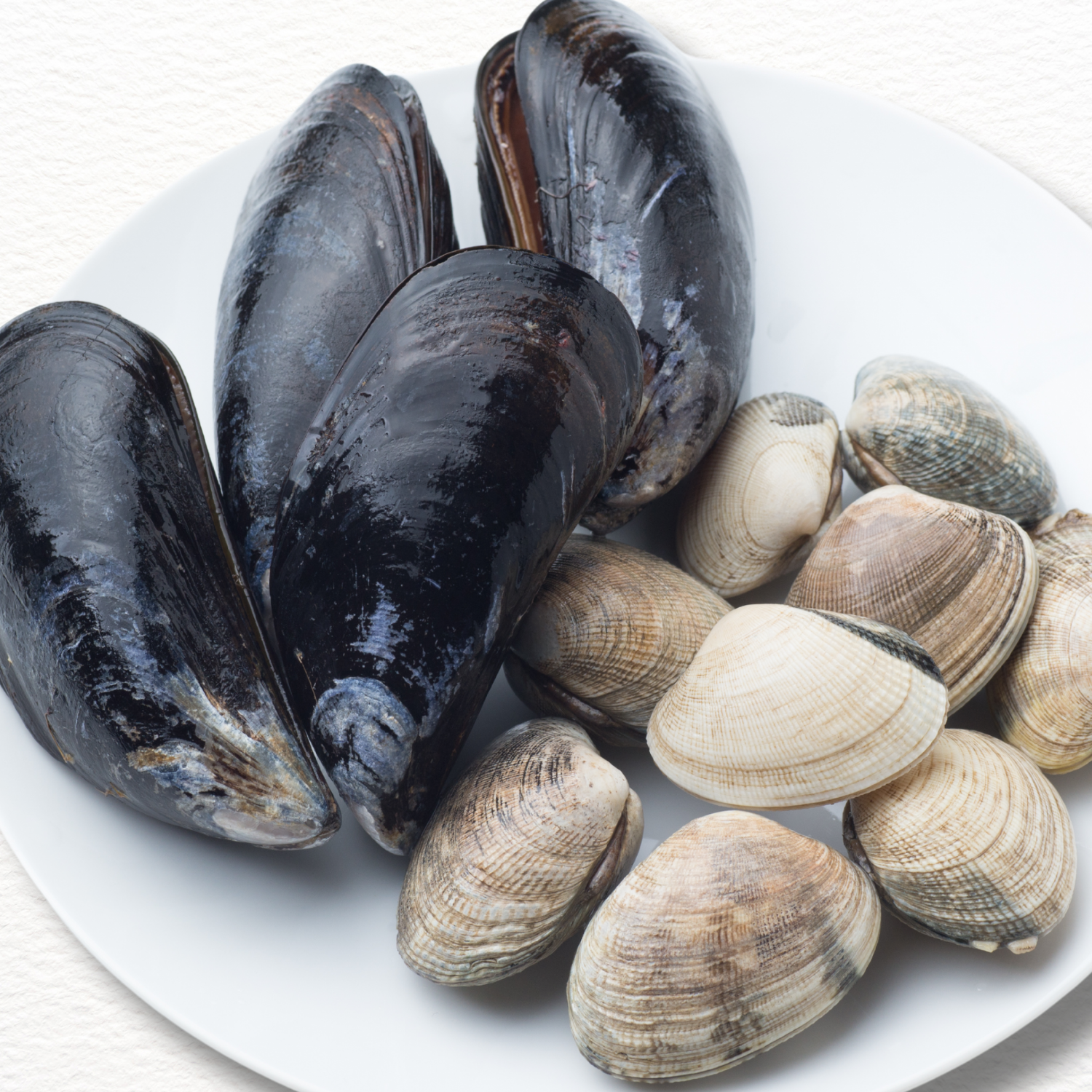 MUSSELS & PIPIS