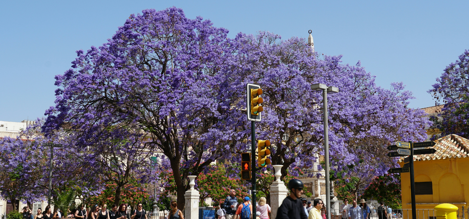 Good Meat Good People
