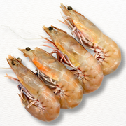 TIGER KING PRAWNS U6