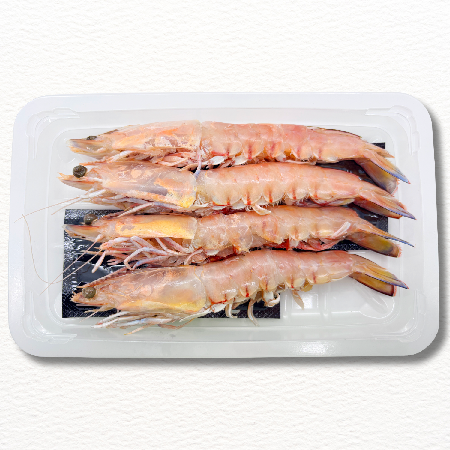 TIGER KING PRAWNS U6